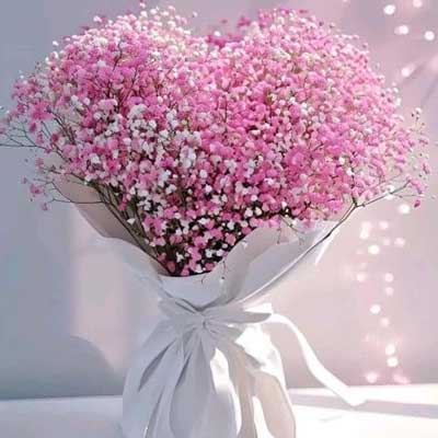 "Gypsophila Gypsy Filler bunch - code BN02 - Click here to View more details about this Product